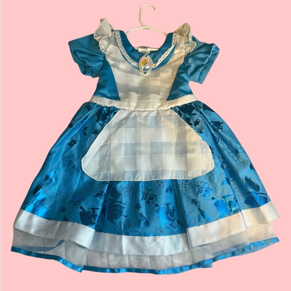 Disney Blue and White Theater Costume